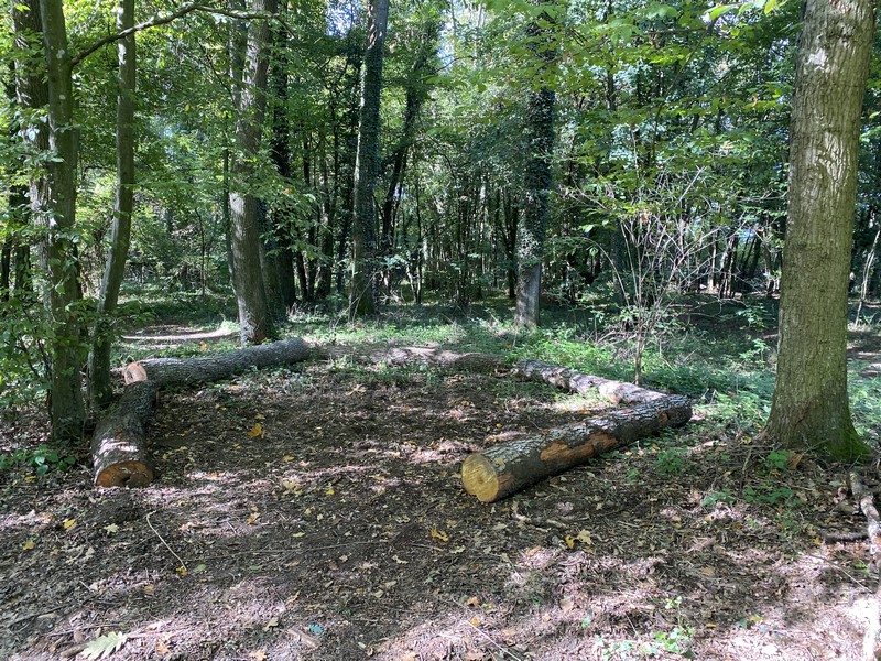 L'école du dehors dans le Bois Barou